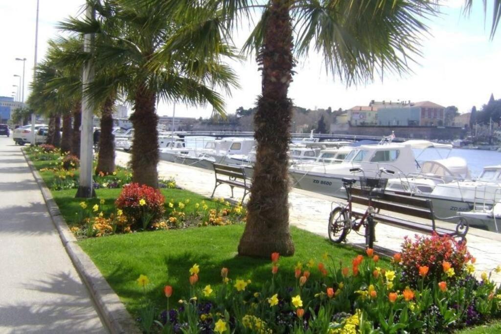 Hygge Zadar Apartment Εξωτερικό φωτογραφία
